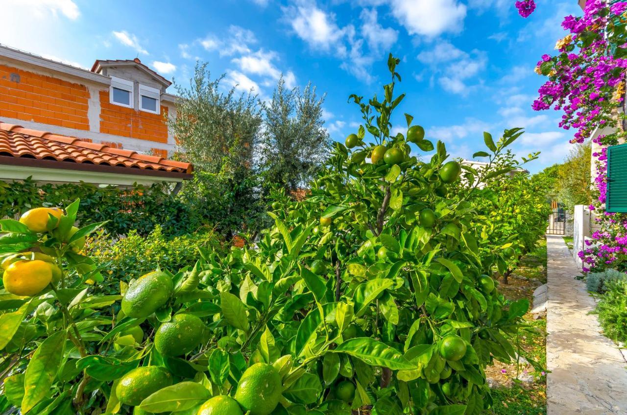 Apartments Mate Trogir Zewnętrze zdjęcie